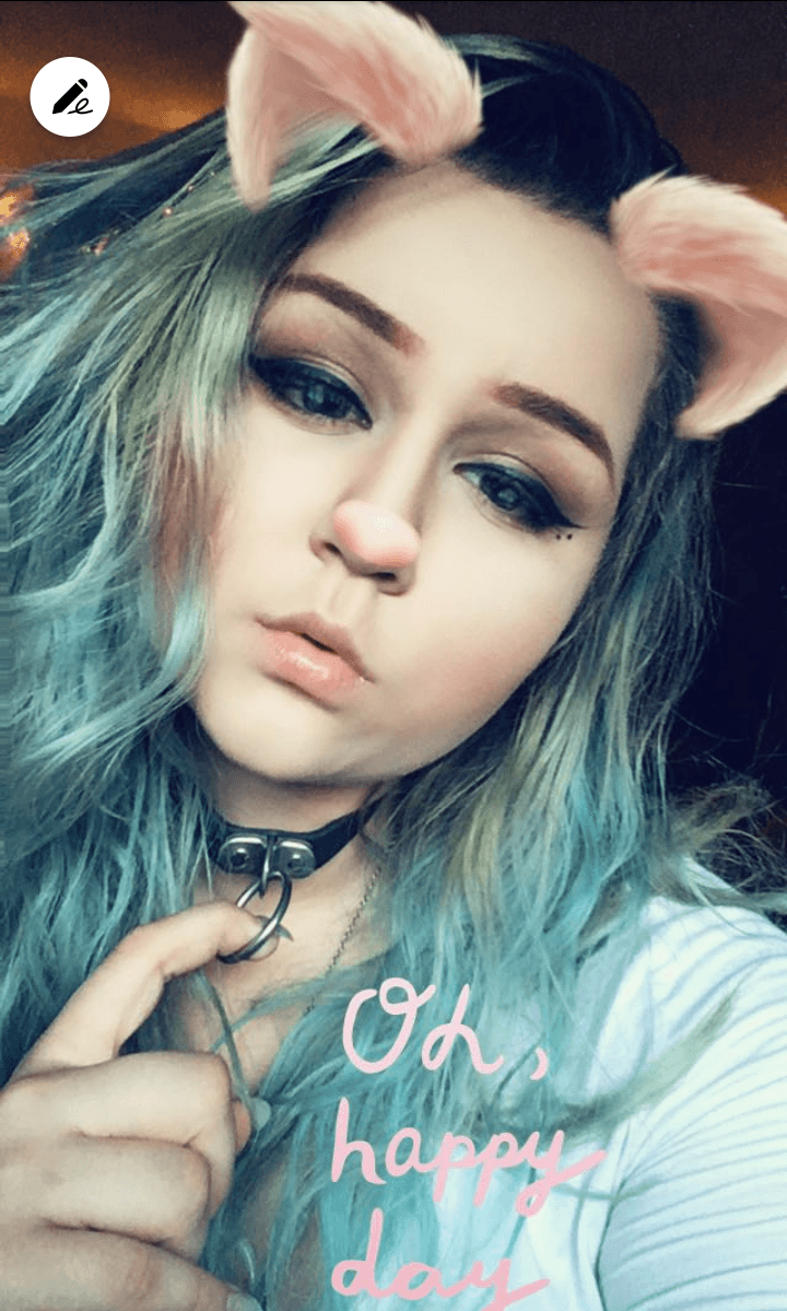 pig dumb ugly disgrace