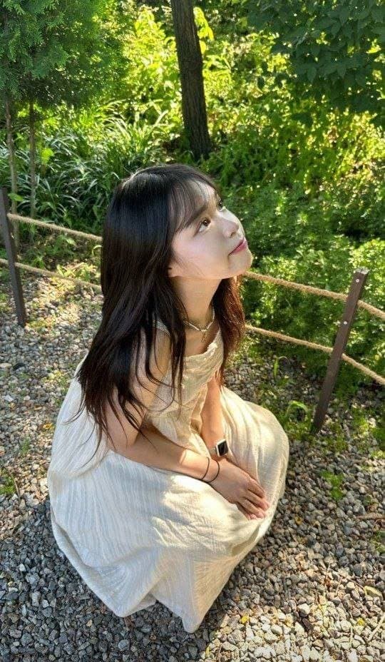 Ann Lee (Soo Kyung Lee sister)