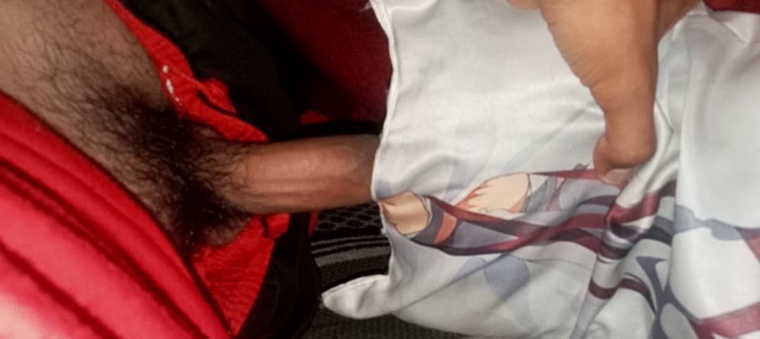 Mikasa dakimakura            Please share