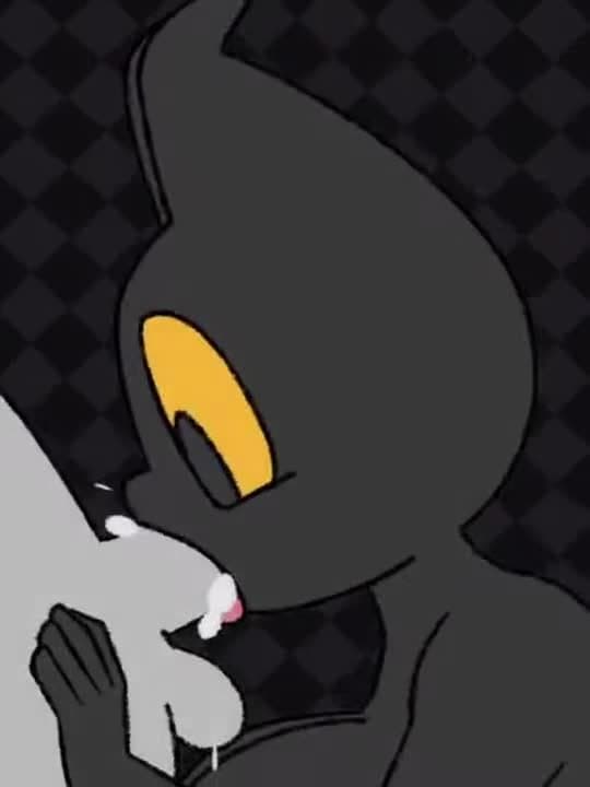 Momo (magic cat academy) Videos