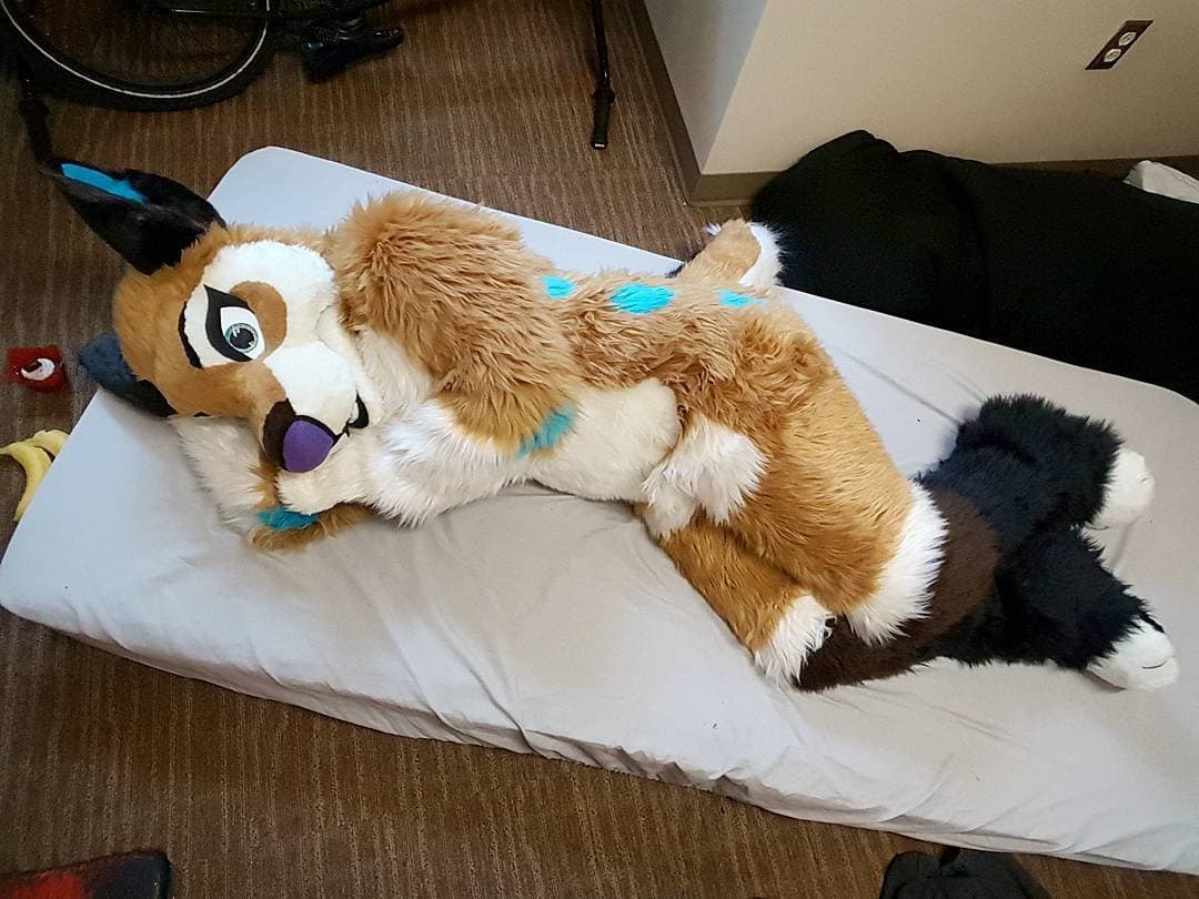 [FURRY] ?? infamous shiba/deer murrsuiter sex tapes (fřëÿäśħîbê)