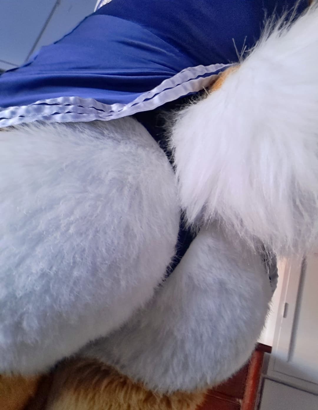 [FURRY/GAS] ?? deer fursuiter teasing and having gas (ļôťûșľâfâŵń/jǎčķâļșťŷļê)