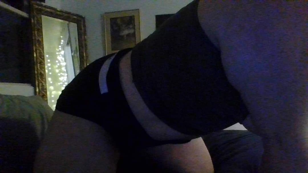 pig dumb ugly disgrace