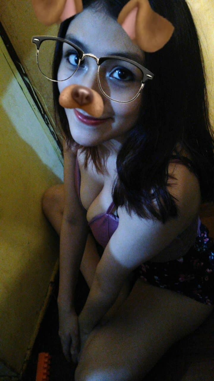 cute playful naughty puppy