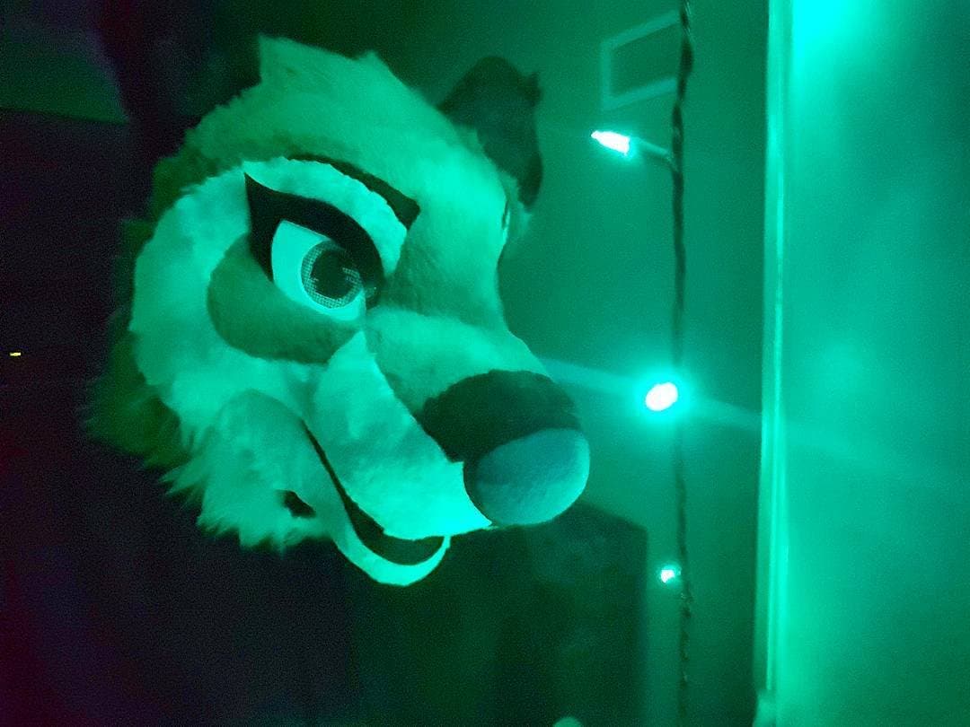 [FURRY] ?? infamous shiba/deer murrsuiter sex tapes (fřëÿäśħîbê)