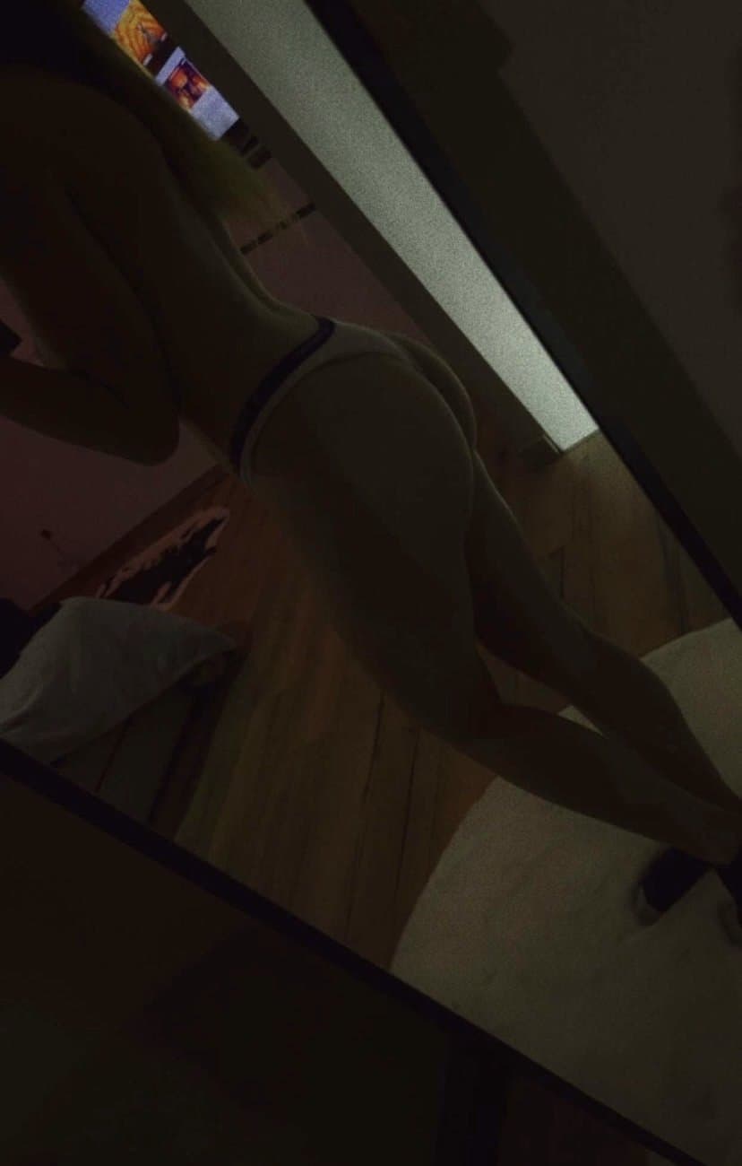 Belle petite chienne de Belgique