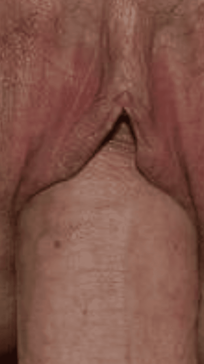 Skinny MILF librarian after a little wine. Cute little saggy Tits and nice piss flaps tho ?