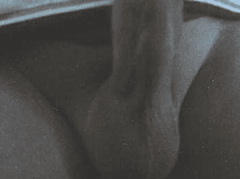 Cocks of Chatroulette 5