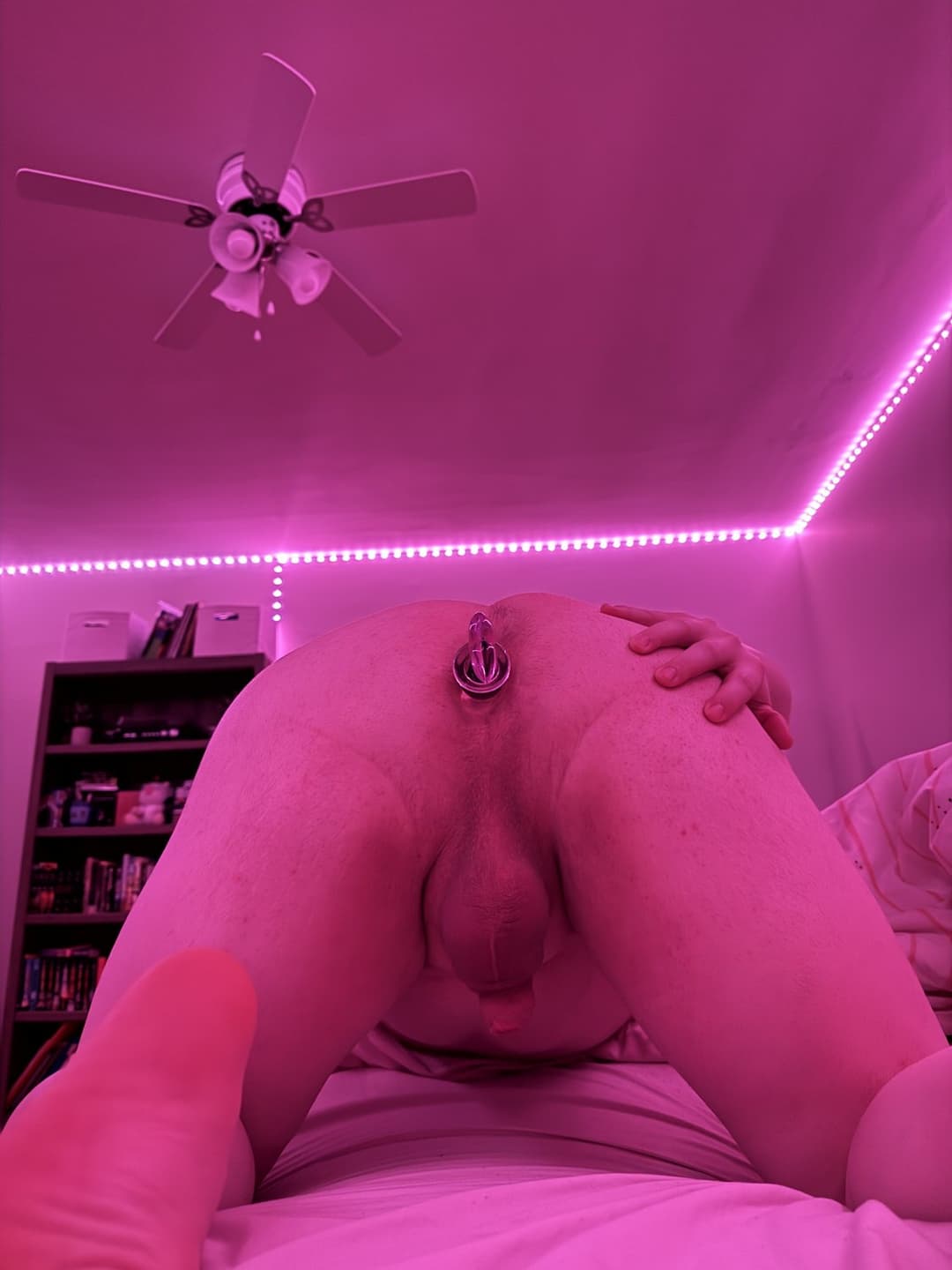 Click to view full size Sissy Matthew Mason (Halifax, NS)