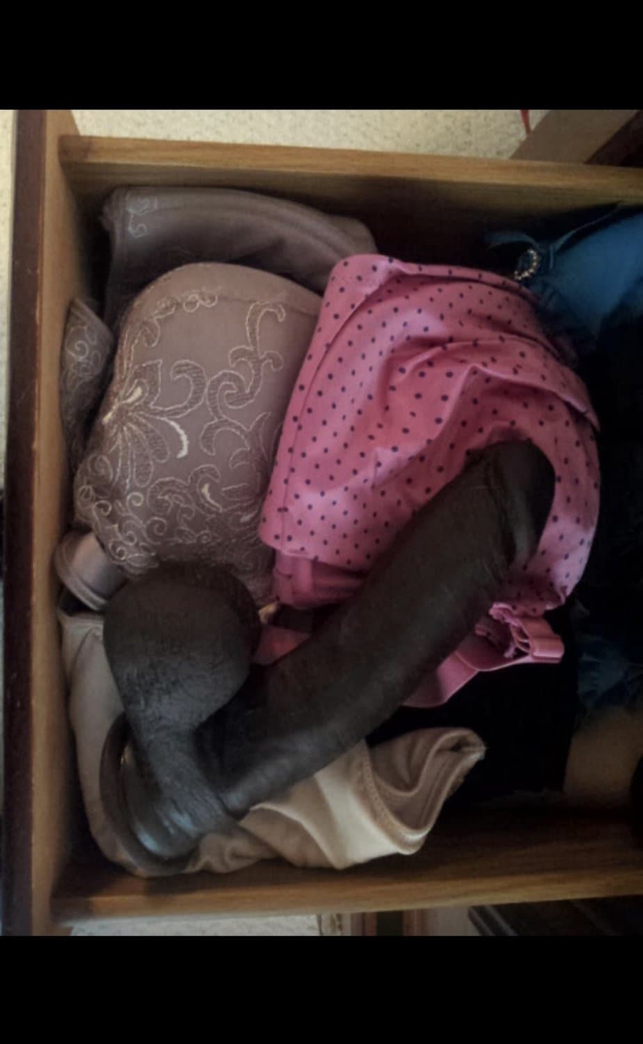 House Sitting for Cousin found her BBC Dildo and Vibrater, Smelled her dirty panties
