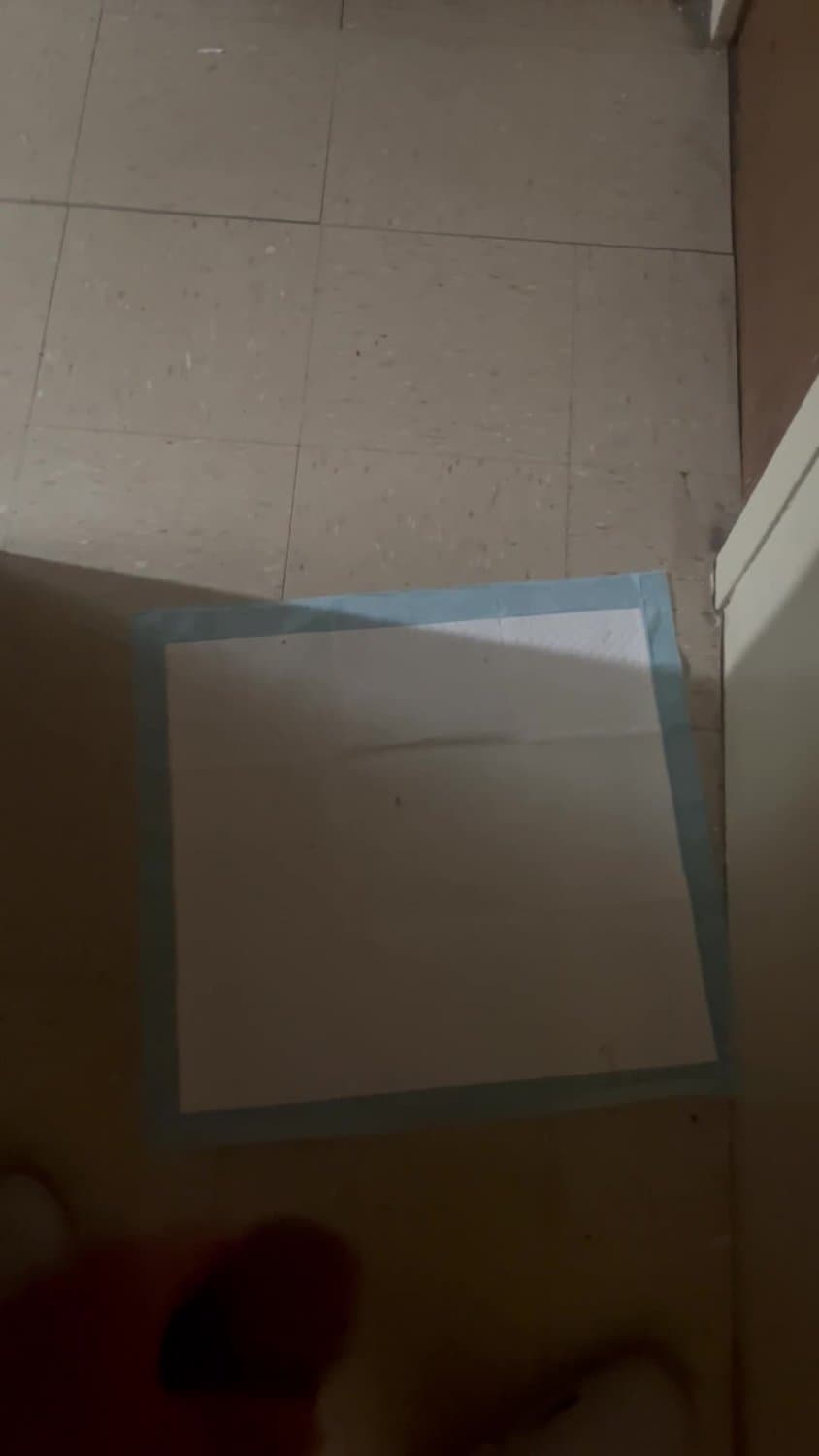 Jerking off in the hallway and almost getting caught by my sexy ass cousin I want to fuck