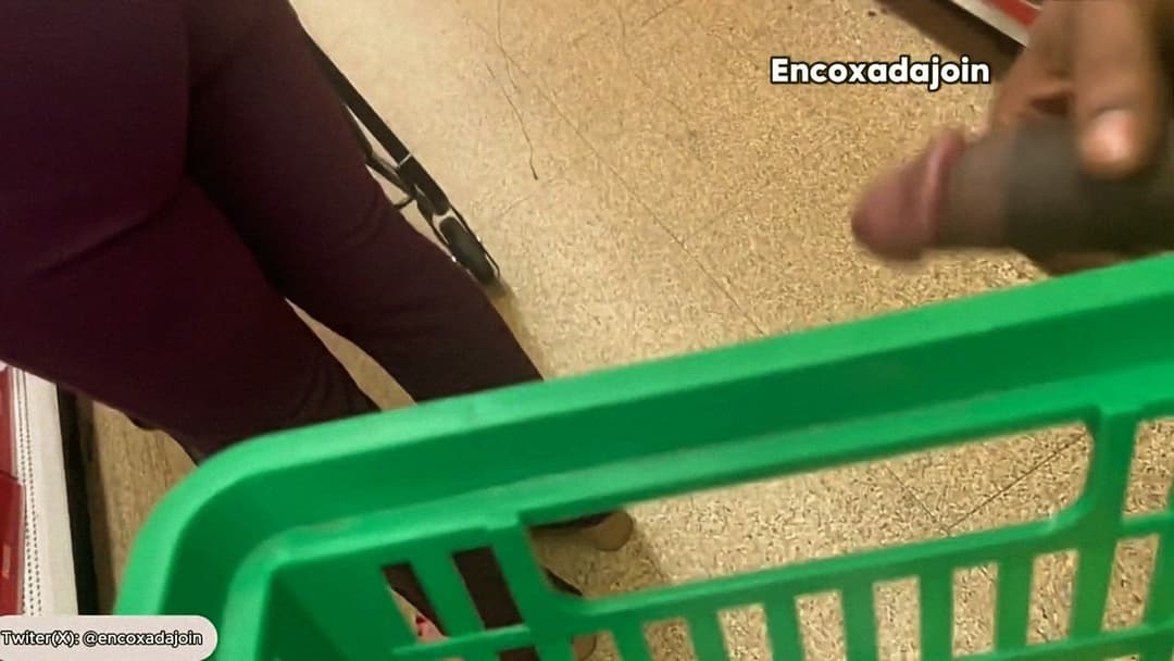 Shark Attack (WILD!)