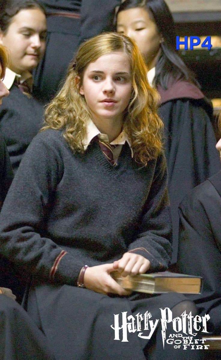 In which Harry Potter was hermione the best no wrong answers
