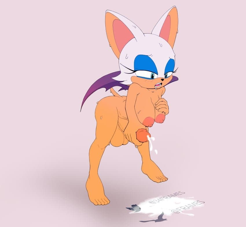 Rouge The Bat Comp ?