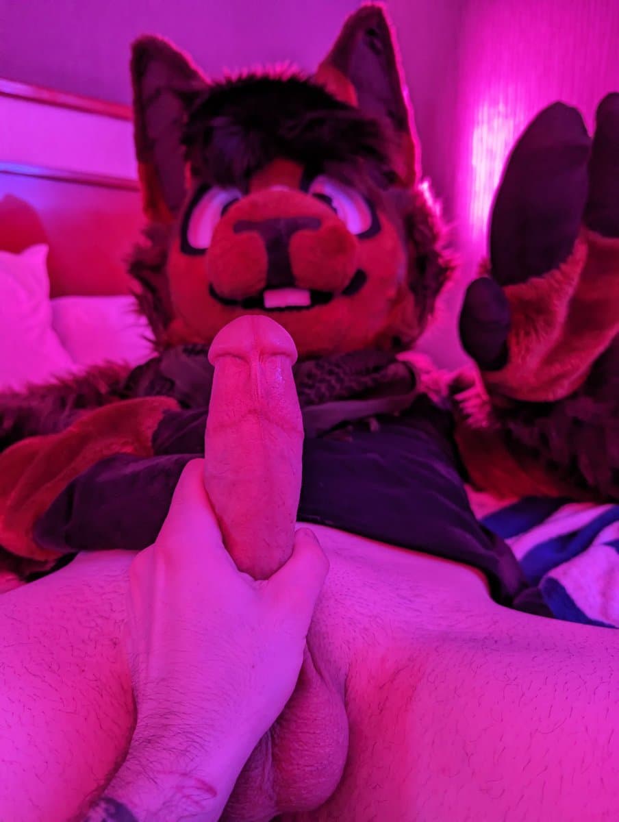 [FURRY] hot bi/pan furry femboy twink (žûřùźûķîìń/jëșśäbřêéďêř)