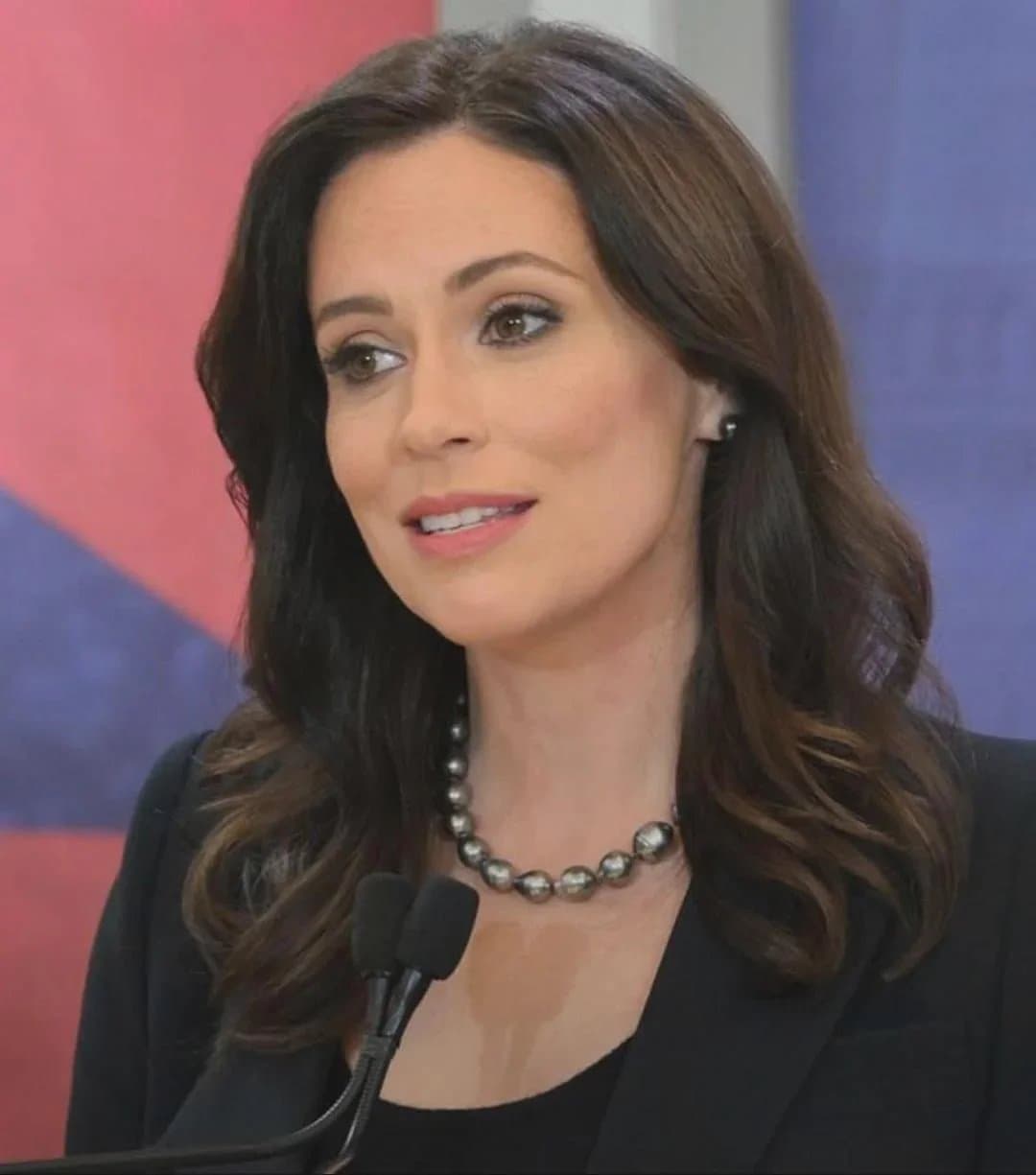 Big titty politician Tudor Dixon has massive milkers. She has my vote as most likely to motorboat