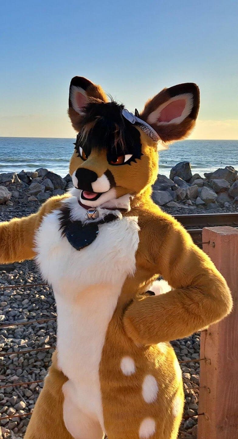 [FURRY/GAS] ?? deer fursuiter teasing and having gas (ļôťûșľâfâŵń/jǎčķâļșťŷļê)