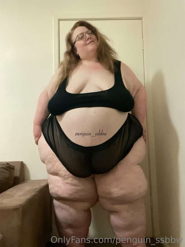 ssbbw penguin