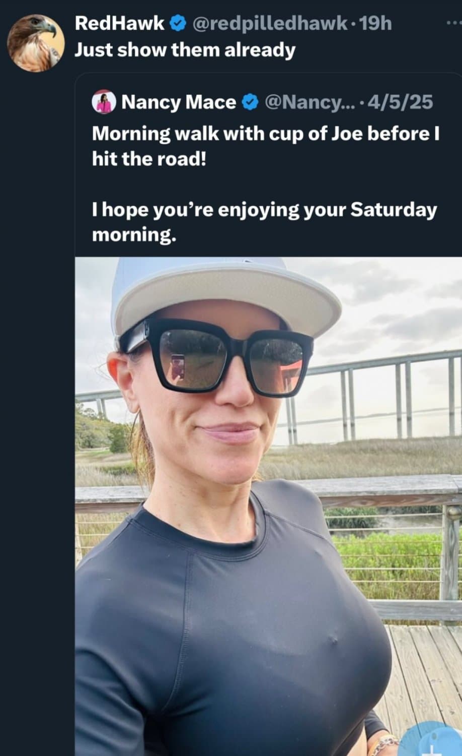 Nancy vs Nancy (Big Titty Conservative MILF vs Big Titty Liberal GILF)