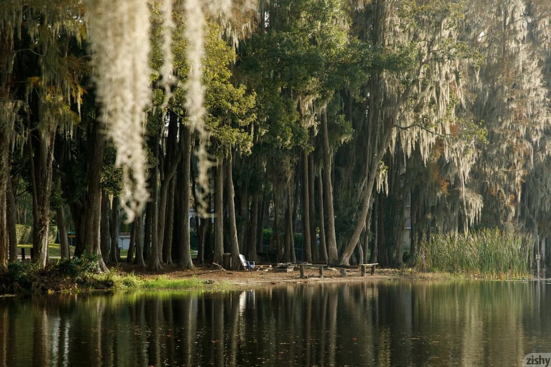 Keisha Grey Still Keishing