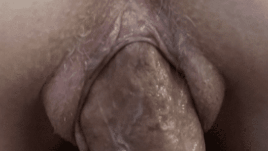 PHAT ass on this ginger MILF whore ?