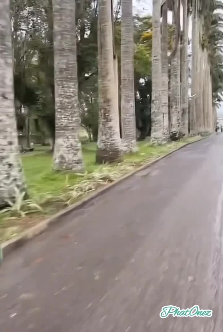 goddess ass bbw pawg latina pear shape curvy