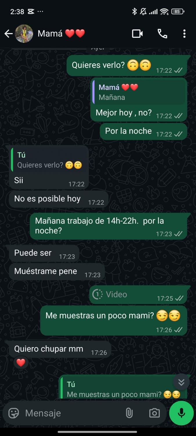 Chats con mi madre (real)