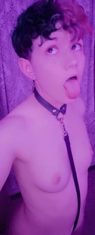 White Stud Dyke Lil Fox