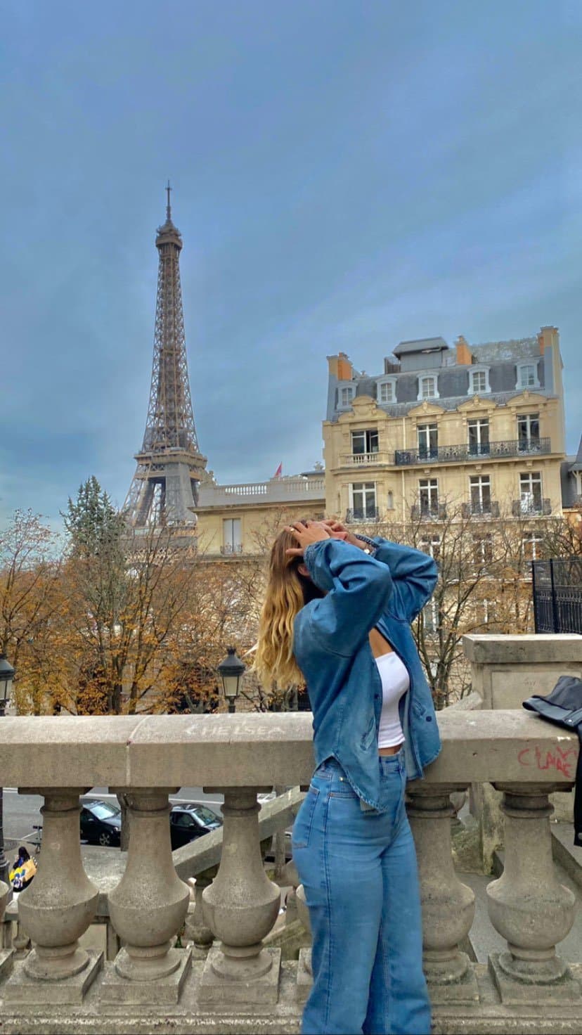 Chloé, grosse chienne française exposée