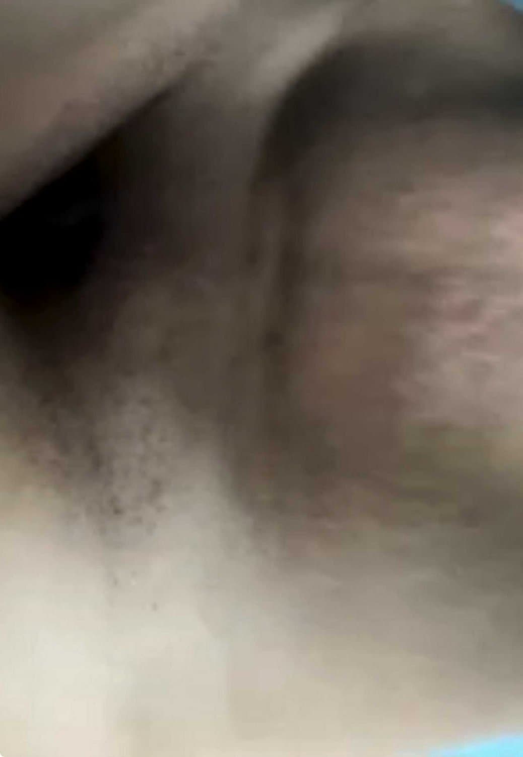 La chinita sonidera de puebla