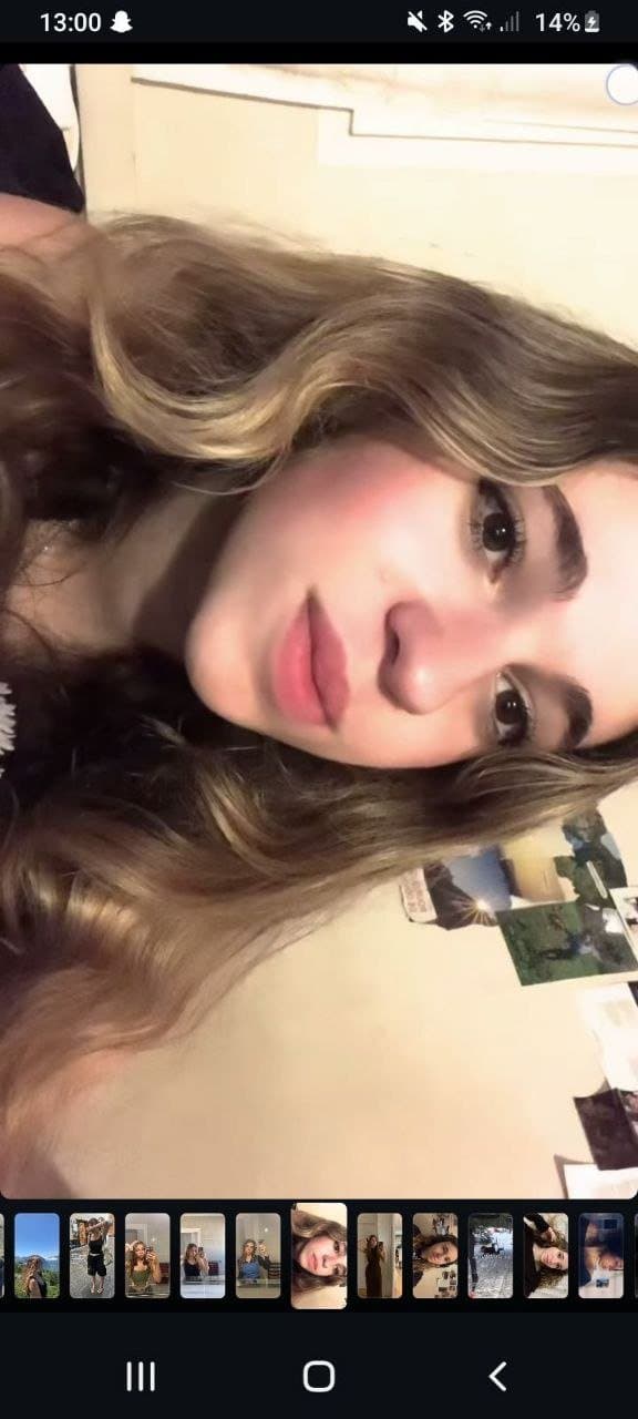 Chienne française exposé