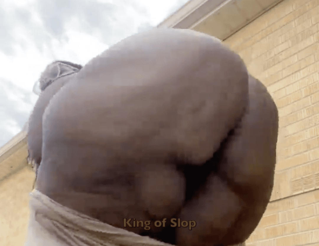 Ebony SSBBW Needs A Hot Load Dumped In Her Sloppy Ass
