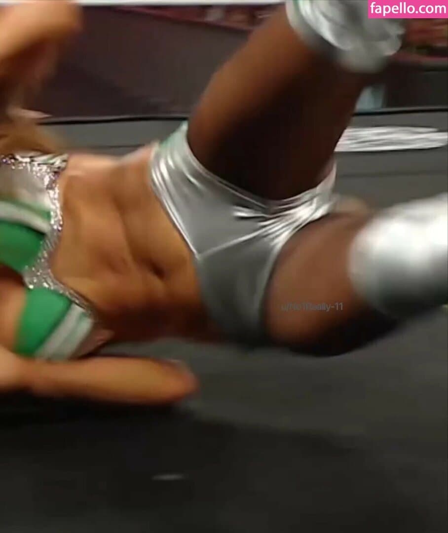 Nikki bella Brie bella