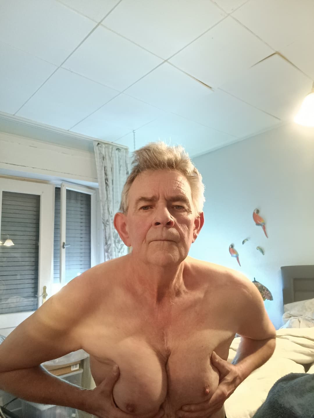 Michael Alexander, slut with breasts