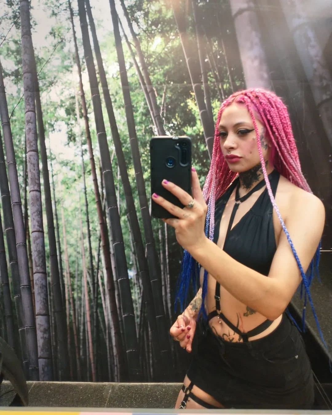 Priscila Sanders (Ripsissy) se sigue actualizando