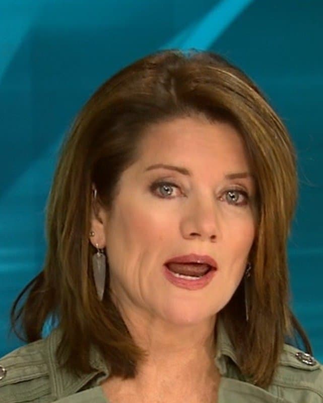 Alix Kendall TV News Milf