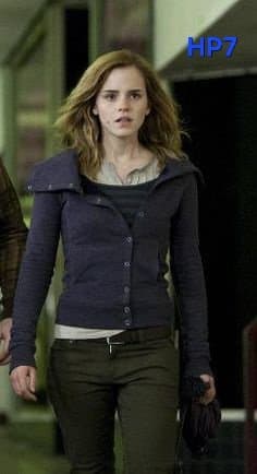 In which Harry Potter was hermione the best no wrong answers