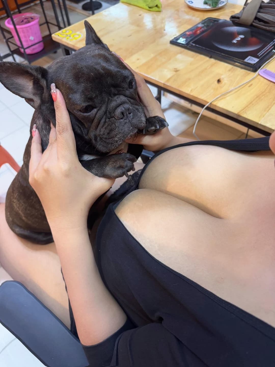 Beautiful sexy thai lady with massive boobs