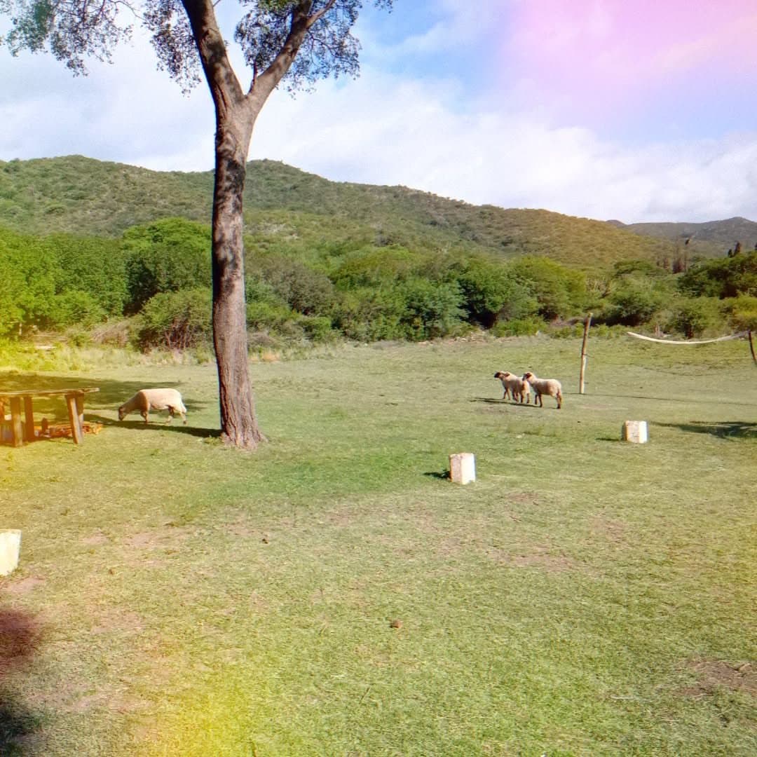 Puta argentina xxx filtrada