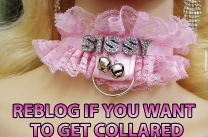 Sissification and Feminization captions