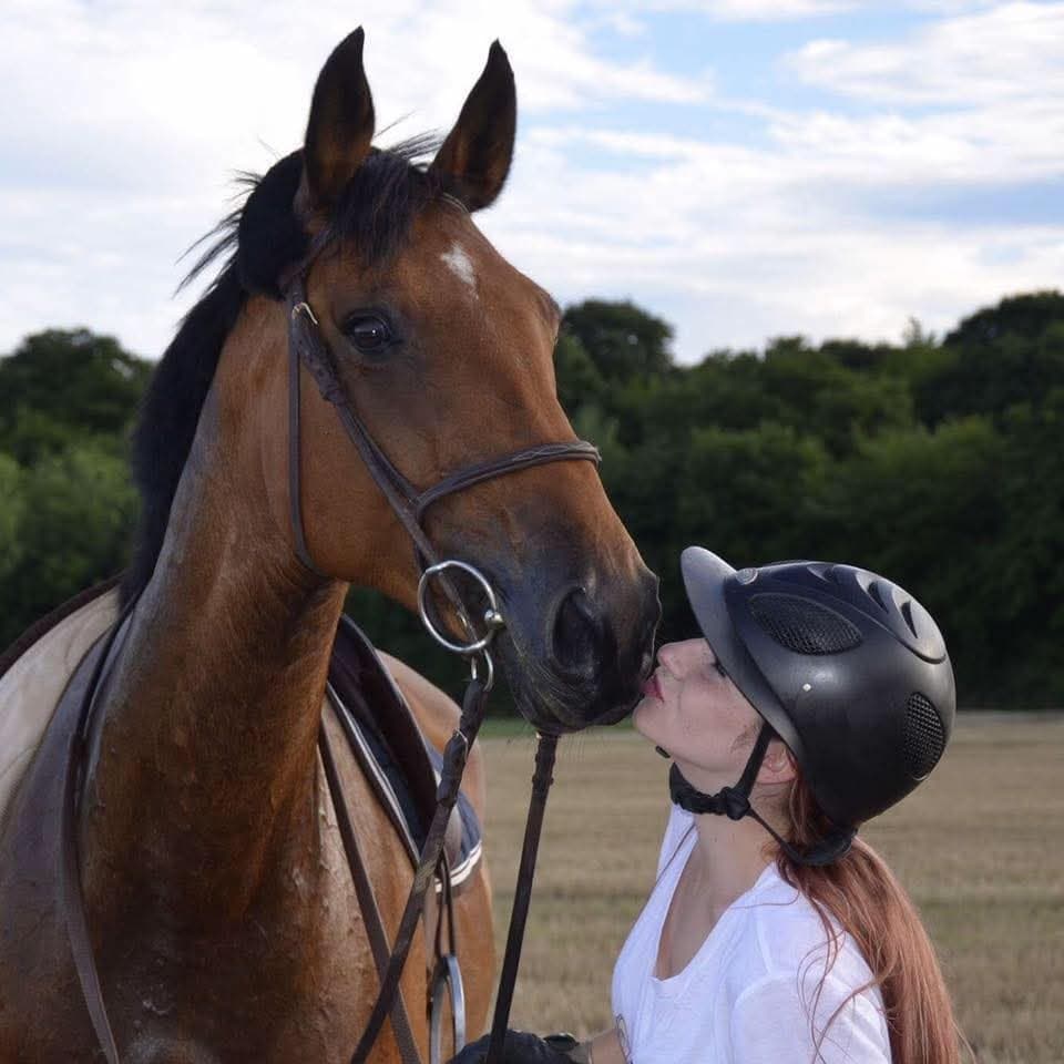 Chienne française à baiser