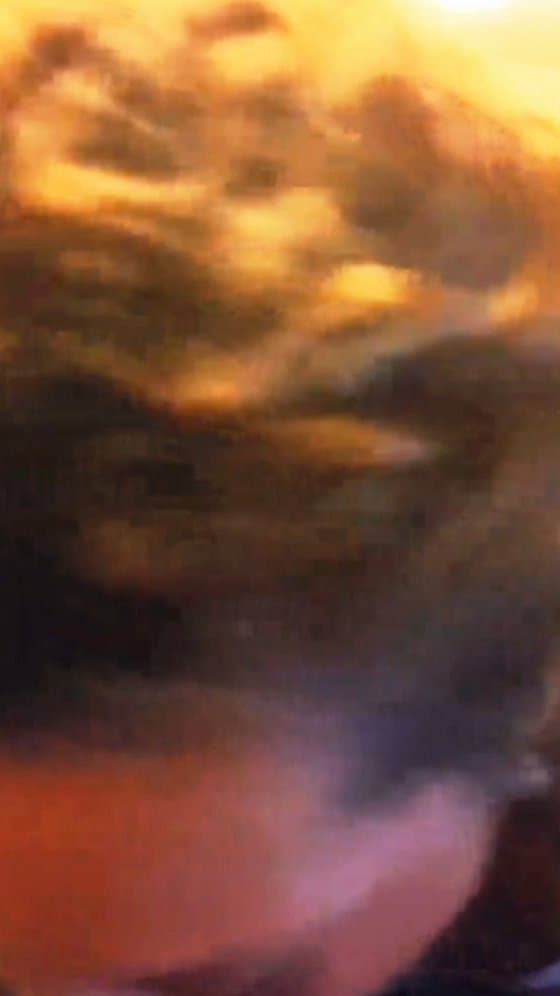 Wife amateur wife sucking cock