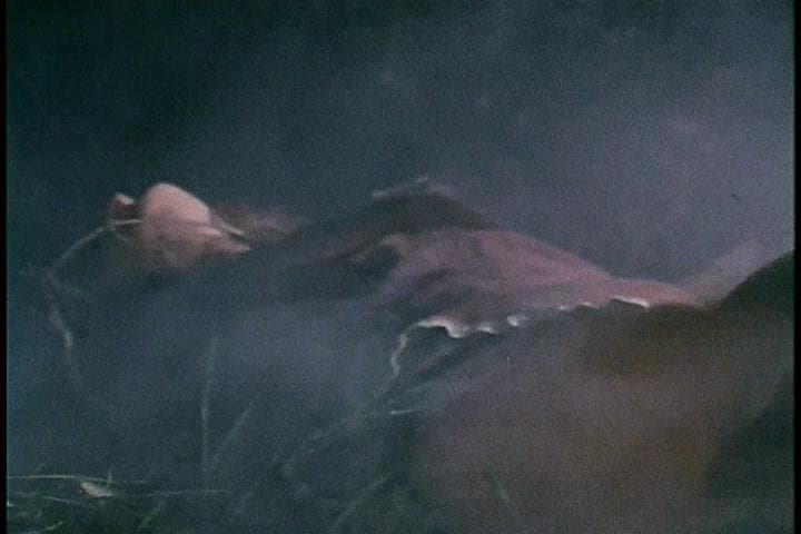 The Trees! They’re Alive!!! (Part 3)