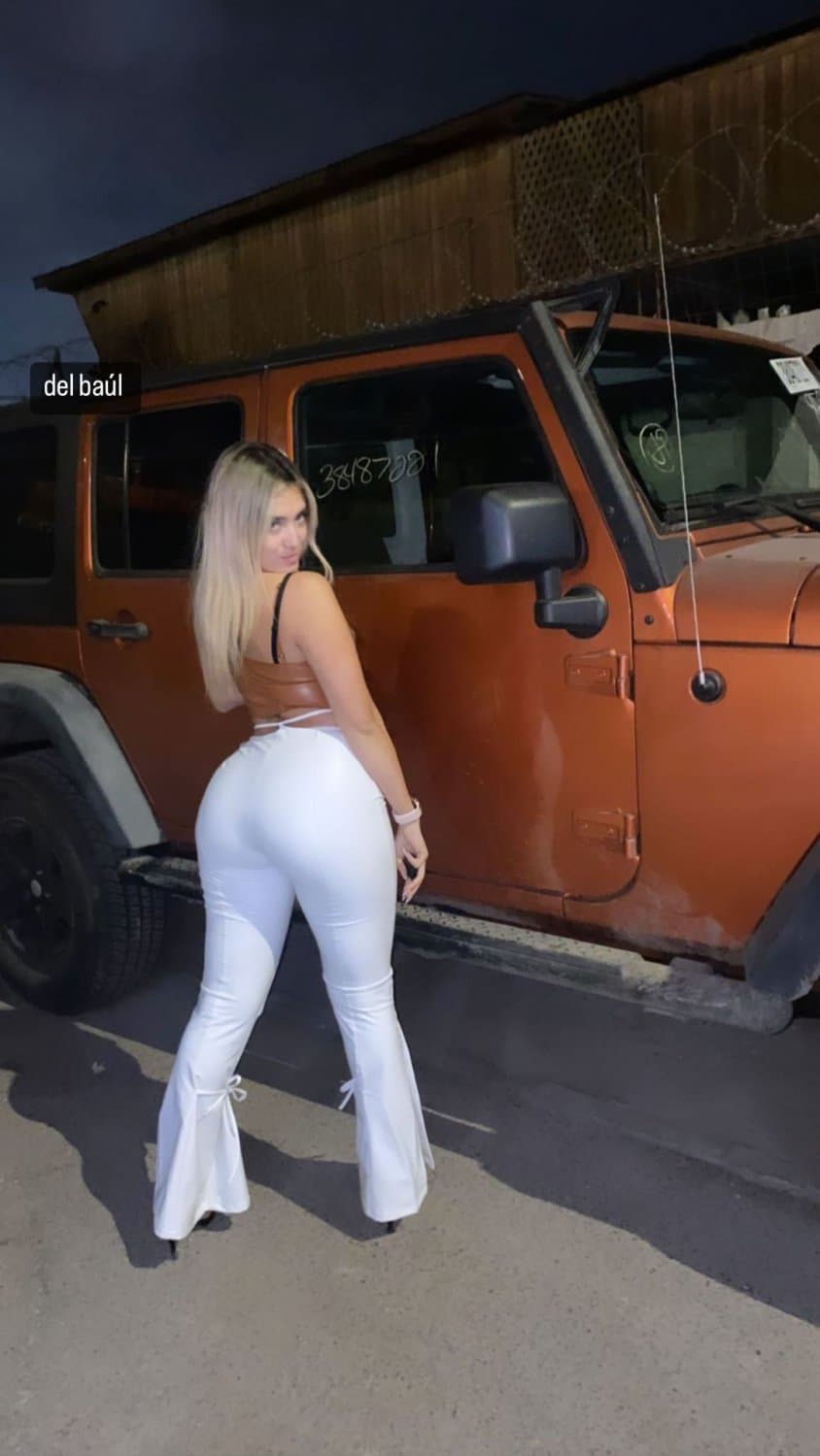 Mujeres Chilenas Ardientes