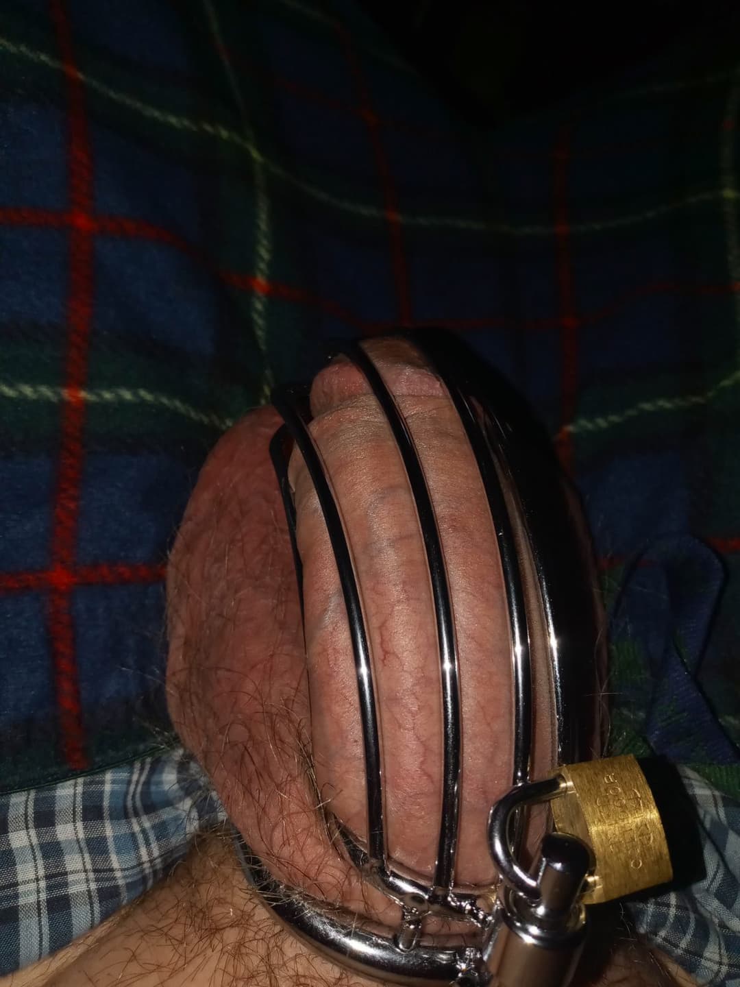 My sissy cuckolds gf think she should find out?