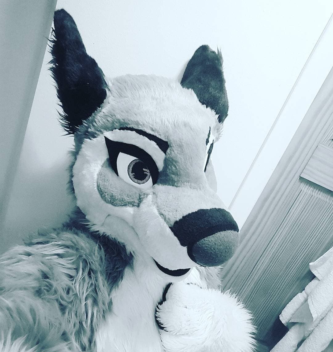 [FURRY] ?? infamous shiba/deer murrsuiter sex tapes (fřëÿäśħîbê)