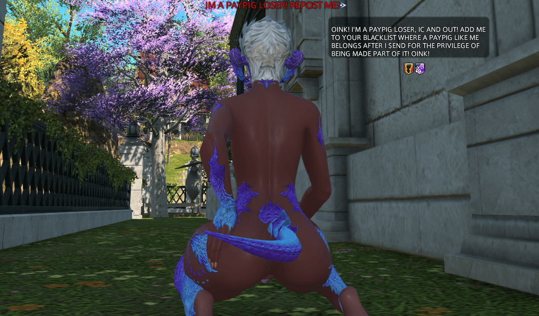 Any FFXIV players recognize this paypig?