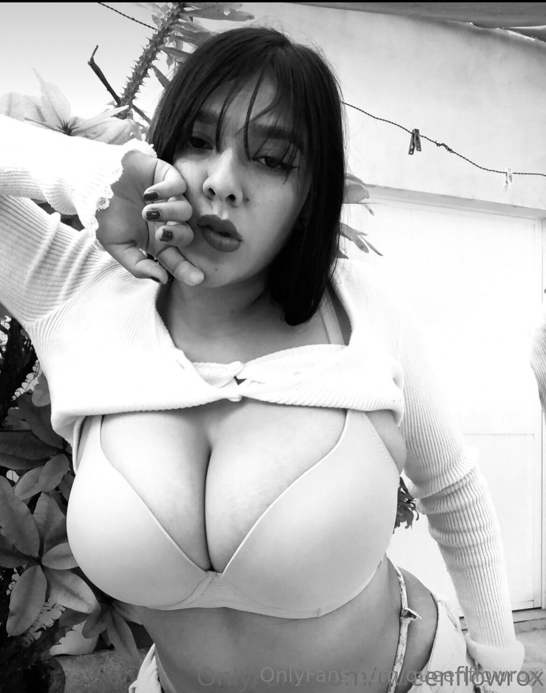 Click to view full size ROXY QUEEN FLOW ROX 1