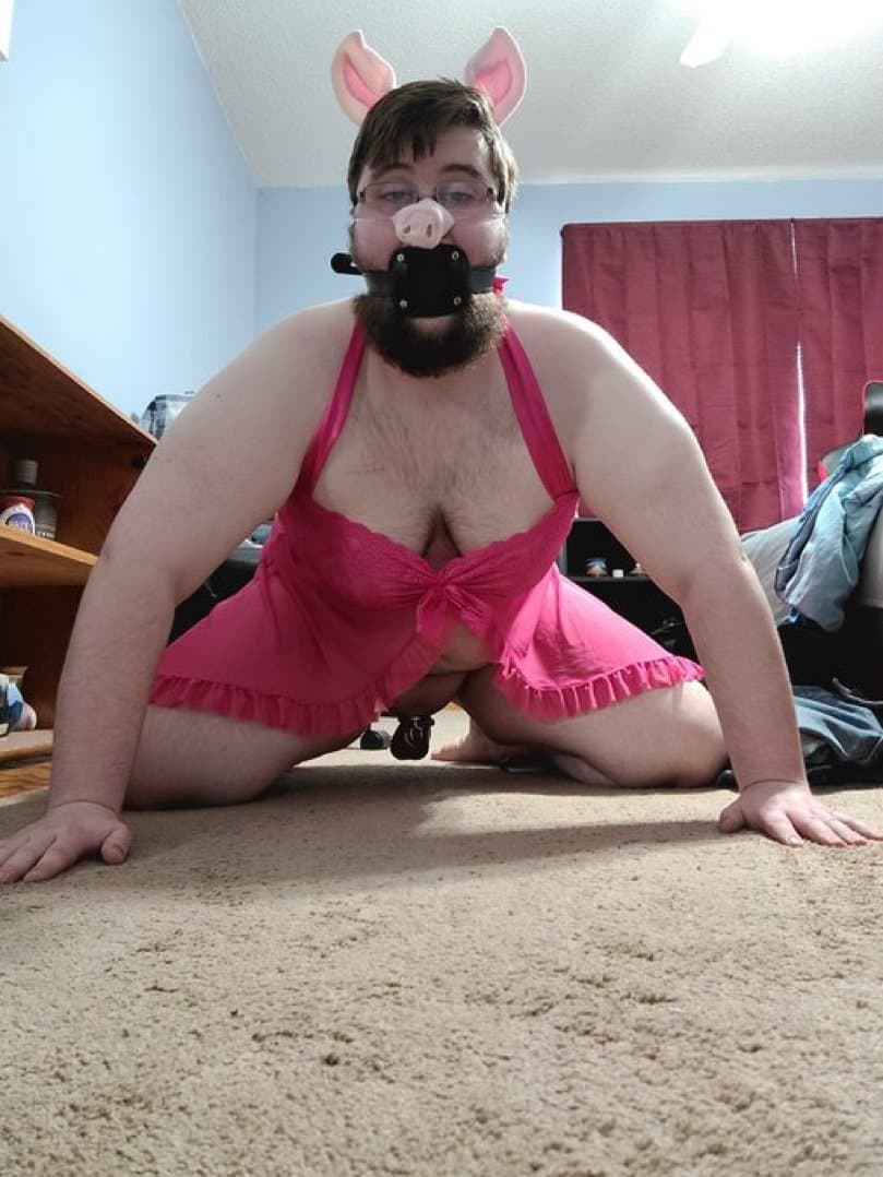 Jeff the cow with big utters