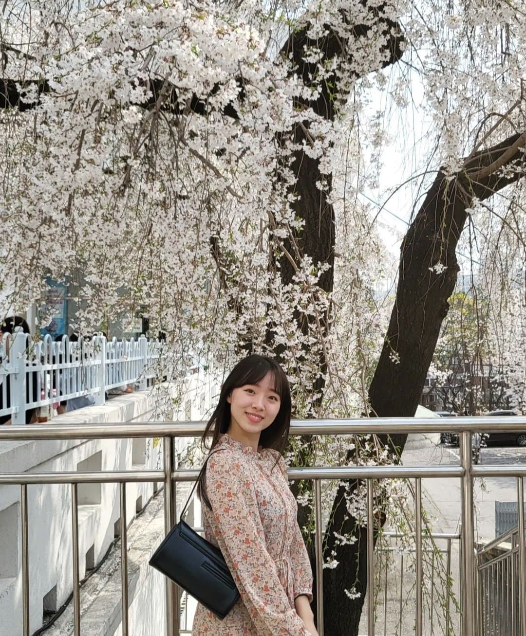 Cute korean Yonsei student 과에 남친이 과에 사진 뿌려서 자퇴한 년 ㅠ